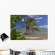 Palm Tree Overhangs The Ocean With A View Of Maui In Distance Wall Mural