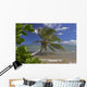 Palm Tree Overhangs The Ocean With A View Of Maui In Distance Wall Mural