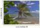 Palm Tree Overhangs The Ocean With A View Of Maui In Distance Wall Mural