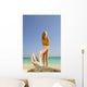Back View Of Woman Wearing Pareo Stands Wall Mural