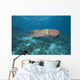 Micronesia, Palua, Common Cuttlefish, Near The Ocean Floor Wall Mural