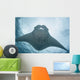 Micronesia, Palau, Manta Ray With Remora Wall Mural