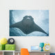 Micronesia, Palau, Manta Ray With Remora Wall Mural