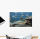 Malaysia, Sipidan, Bigeye Trevally Behind A Green Sea Turtle Wall Mural