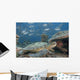 Malaysia, Sipidan, Bigeye Trevally Behind A Green Sea Turtle Wall Mural