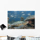 Malaysia, Sipidan, Bigeye Trevally Behind A Green Sea Turtle Wall Mural