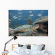 Malaysia, Sipidan, Bigeye Trevally Behind A Green Sea Turtle Wall Mural