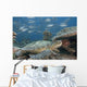 Malaysia, Sipidan, Bigeye Trevally Behind A Green Sea Turtle Wall Mural