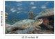 Malaysia, Sipidan, Bigeye Trevally Behind A Green Sea Turtle Wall Mural