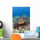 Hawaii, Big Island, Hawksbill Turtle Sitting On The Coral Wall Mural