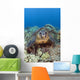 Hawaii, Big Island, Hawksbill Turtle Sitting On The Coral Wall Mural