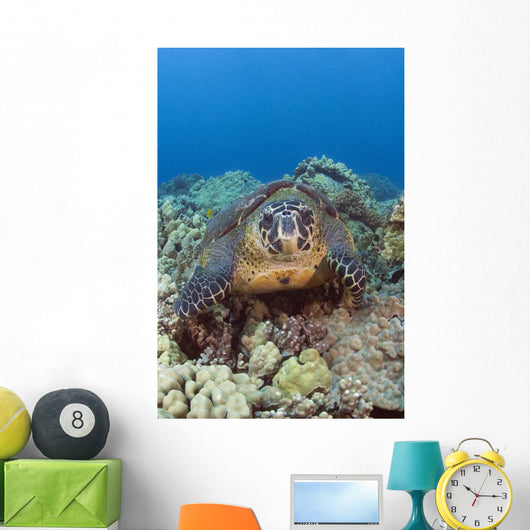 Hawaii, Big Island, Hawksbill Turtle Sitting On The Coral Wall Mural