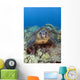 Hawaii, Big Island, Hawksbill Turtle Sitting On The Coral Wall Mural