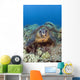 Hawaii, Big Island, Hawksbill Turtle Sitting On The Coral Wall Mural