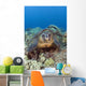 Hawaii, Big Island, Hawksbill Turtle Sitting On The Coral Wall Mural