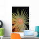 Indonesia, Tubastraea Coral Polyp Detail In Dark Ocean Wall Mural