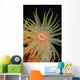 Indonesia, Tubastraea Coral Polyp Detail In Dark Ocean Wall Mural