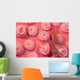 Indonesia, Striped Triplefin On Pink Tubastraea Coral Wall Mural