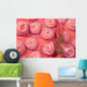Indonesia, Striped Triplefin On Pink Tubastraea Coral Wall Mural