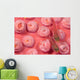 Indonesia, Striped Triplefin On Pink Tubastraea Coral Wall Mural