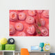 Indonesia, Striped Triplefin On Pink Tubastraea Coral Wall Mural
