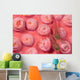 Indonesia, Striped Triplefin On Pink Tubastraea Coral Wall Mural