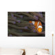 Indonesia, Clown Anemonefish In Anenome Wall Mural