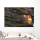 Indonesia, Clown Anemonefish In Anenome Wall Mural