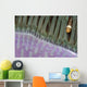 Indonesia, Clown Anemonefish In Anenome Wall Mural