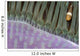 Indonesia, Clown Anemonefish In Anenome Wall Mural