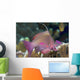 Indonesia, Lyre-Tail Anthias Or Basslet Wall Mural