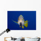 Hawaii, Maui, Bluestripe Snapper Wall Mural