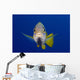 Hawaii, Maui, Bluestripe Snapper Wall Mural