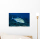 Hawaii, Bluefin Trevally Or Jack Wall Mural