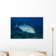 Hawaii, Bluefin Trevally Or Jack Wall Mural