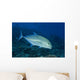 Hawaii, Bluefin Trevally Or Jack Wall Mural