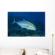 Hawaii, Bluefin Trevally Or Jack Wall Mural
