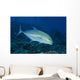 Hawaii, Bluefin Trevally Or Jack Wall Mural