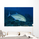 Hawaii, Bluefin Trevally Or Jack Wall Mural