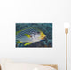 Malaysia, Mabul Island, Lined Sweetlips With Cleaner Wrasse Wall Mural