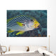 Malaysia, Mabul Island, Lined Sweetlips With Cleaner Wrasse Wall Mural