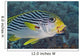 Malaysia, Mabul Island, Lined Sweetlips With Cleaner Wrasse Wall Mural
