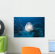 Micronesia, Palua, Jellyfish Near The Ocean Floor Wall Mural