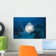 Micronesia, Palua, Jellyfish Near The Ocean Floor Wall Mural