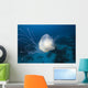 Micronesia, Palua, Jellyfish Near The Ocean Floor Wall Mural