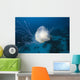 Micronesia, Palua, Jellyfish Near The Ocean Floor Wall Mural