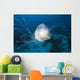 Micronesia, Palua, Jellyfish Near The Ocean Floor Wall Mural