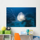 Micronesia, Palua, Jellyfish Near The Ocean Floor Wall Mural