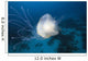 Micronesia, Palua, Jellyfish Near The Ocean Floor Wall Mural