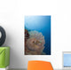 Micronesia, Palau, Chambered Nautilus Floating Among Coral Wall Mural